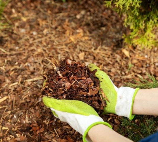 Mulch 1 cube (loose)